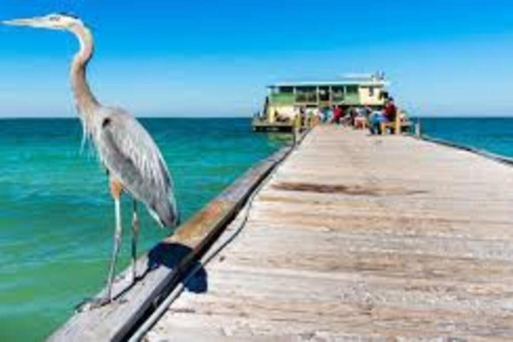 Апартаменты Waterview Oasis Retreat, Minutes To Anna Maria Island And Img Брадентон Экстерьер фото